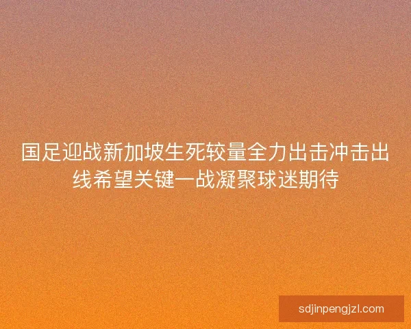 国足迎战新加坡生死较量全力出击冲击出线希望关键一战凝聚球迷期待
